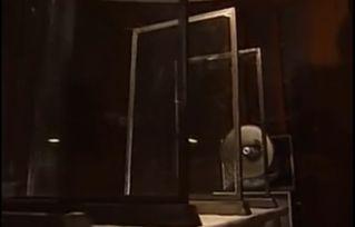 国产日本视频大,融合东方美学与科技魅力的创新之作