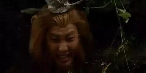 国产有剧情的伦剧情视频,情感纠葛与命运交织