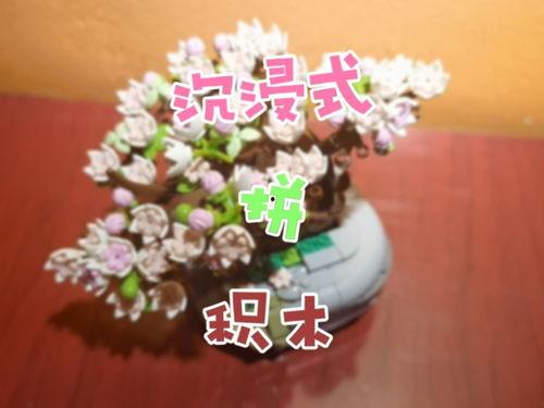 拼积木沉浸式视频国产,拼积木沉浸式视频，开启国产创意新篇章