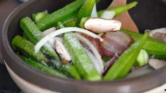 国产秋葵品种介绍视频播放