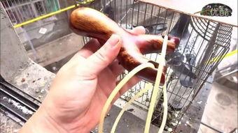 国产弹弓测试视频,弹射精准，威力惊人