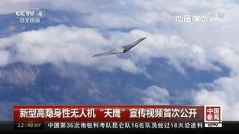 国产无人机表演视频大全,国产无人机表演视频大全精彩集锦