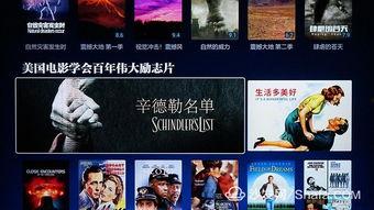 国产动画励志片大全视频,梦想起航，青春绽放