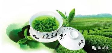 绿茶视频国产在线视,绿茶视频带你领略茶香魅力  第2张