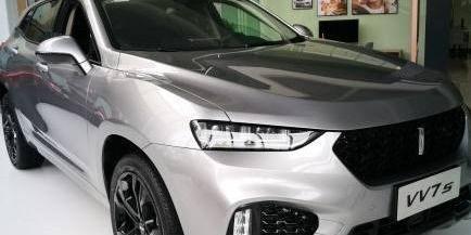 开国产车聚会被嘲笑视频,国产车崛起之路的反思与展望  第3张