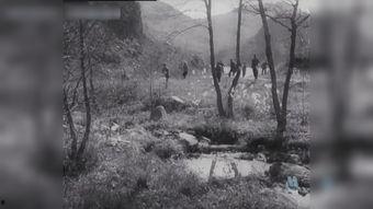 国产虎穴追踪视频,揭秘神秘森林中的神秘生物