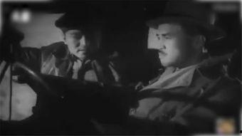 国产虎穴追踪视频,揭秘神秘森林中的神秘生物  第2张