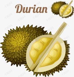 国产动画榴莲视频网,国产动画的璀璨明珠