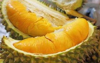 国产动画榴莲视频网,国产动画的璀璨明珠  第2张