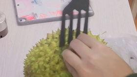 国产动画榴莲视频网,国产动画的璀璨明珠  第3张