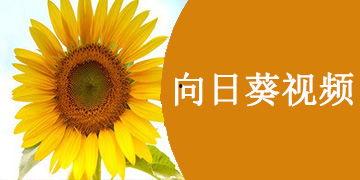 向日葵视频国产激情,向日葵视频的青春热血篇章