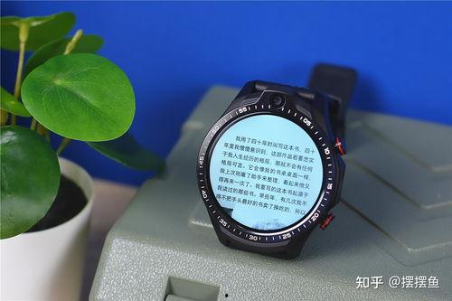 国产手表可看视频的软件,探索中国制表艺术之美  第2张